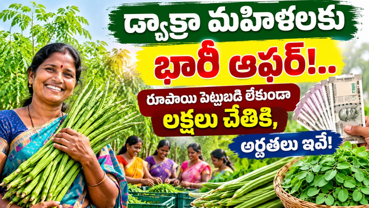 Dwakra Woman Moringa Farming Details