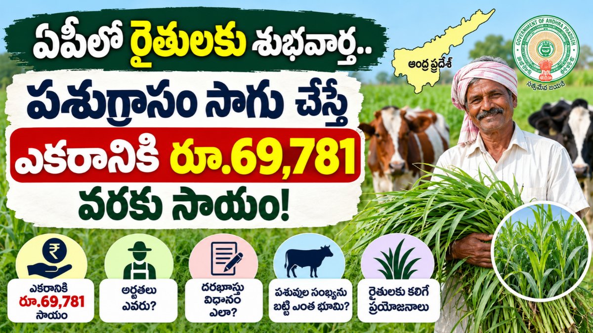 AP Fodder Cultivation Subsidy – ఏపీలో పశుగ్రాసం సాగుకు ఎకరానికి రూ.69,781 సాయం